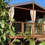 Trésors De Campagne,spas Privatifs Bed and breakfast Villarzel-du-Razes
