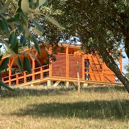 Bed & Breakfast Trésors De Campagne,spas Privatifs Villarzel-du-Razes
