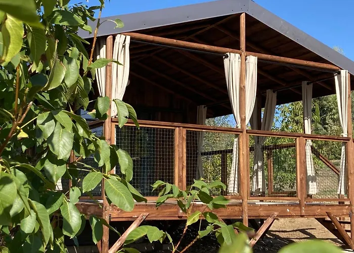 Trésors De Campagne,spas Privatifs Couette-café Villarzel-du-Razes