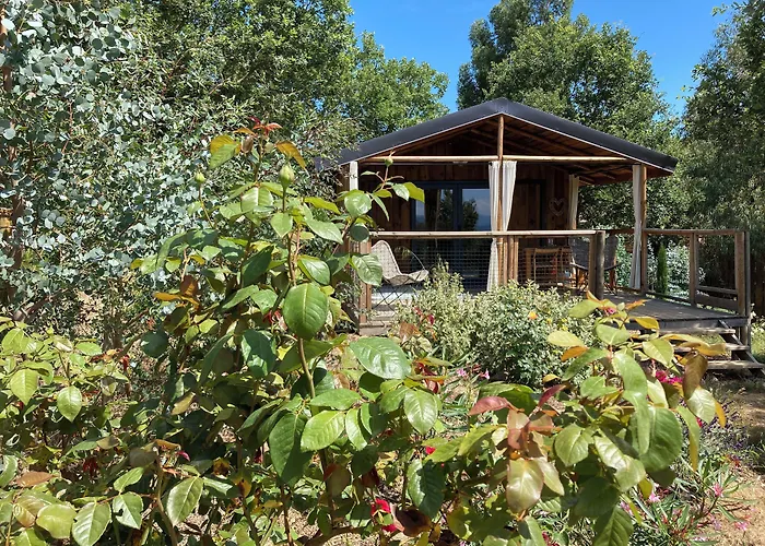 Couette-café Trésors De Campagne,spas Privatifs 3*
